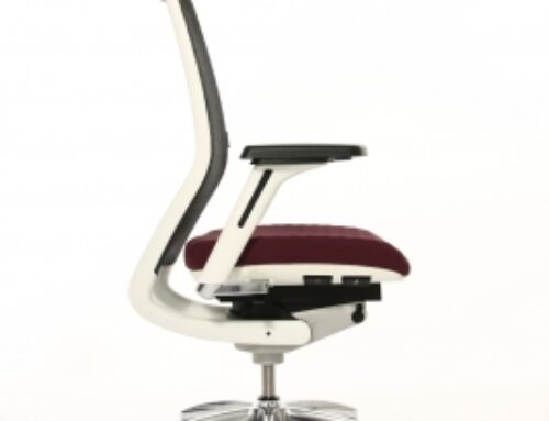 Fauteuil Titan 10