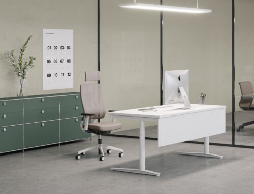 Fauteuil ergonomique NEWBACK